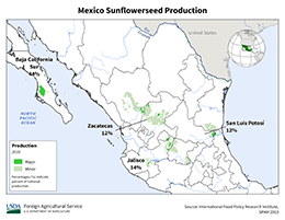 images\MX\Municipality\Mexico_Sunflowerseed_preview.png